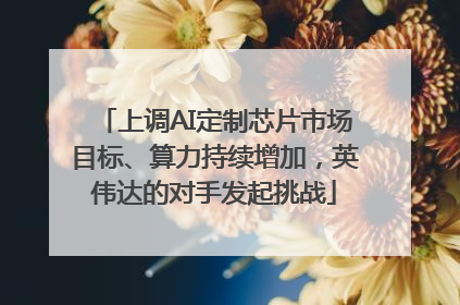 上调AI定制芯片市场目标、算力持续增加，英伟达的对手发起挑战