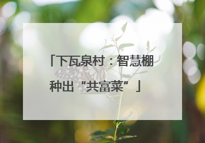 下瓦泉村：智慧棚种出“共富菜”