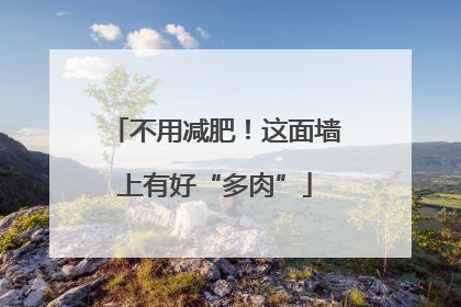 不用减肥！这面墙上有好“多肉”