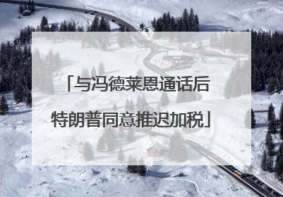 与冯德莱恩通话后 特朗普同意推迟加税