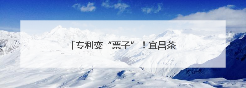 专利变“票子”！宜昌茶企凭它撬动千万出口订单