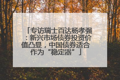 专访瑞士百达杨孝强：新兴市场债券投资价值凸显，中国债券适合作为“稳定器”