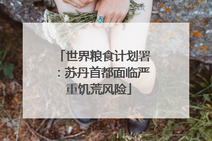 世界粮食计划署：苏丹首都面临严重饥荒风险