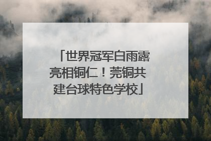 世界冠军白雨露亮相铜仁！莞铜共建台球特色学校