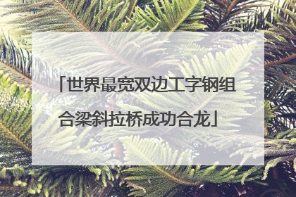 世界最宽双边工字钢组合梁斜拉桥成功合龙