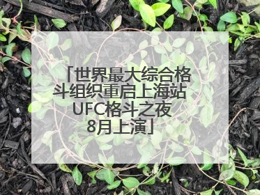 世界最大综合格斗组织重启上海站 UFC格斗之夜8月上演