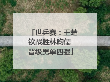 世乒赛：王楚钦战胜林昀儒 晋级男单四强