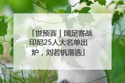 世预赛｜国足客战印尼25人大名单出炉，刘若钒落选