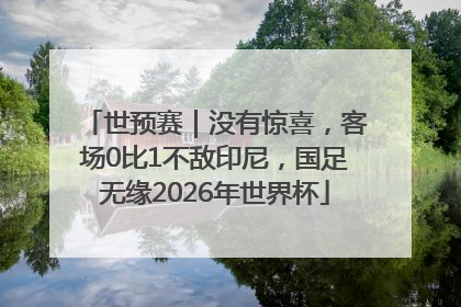 世预赛｜没有惊喜，客场0比1不敌印尼，国足无缘2026年世界杯