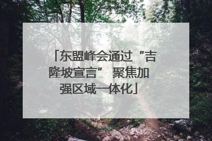 东盟峰会通过“吉隆坡宣言” 聚焦加强区域一体化