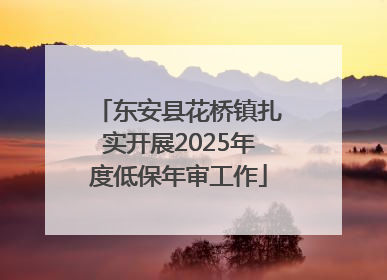 东安县花桥镇扎实开展2025年度低保年审工作