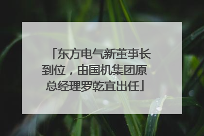 东方电气新董事长到位，由国机集团原总经理罗乾宜出任