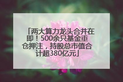 两大算力龙头合并在即！500余只基金重仓押注，持股总市值合计超380亿元