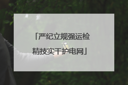 严纪立规强运检 精技实干护电网