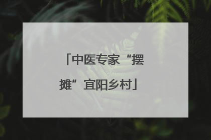 中医专家“摆摊”宜阳乡村