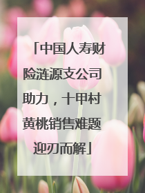 中国人寿财险涟源支公司助力，十甲村黄桃销售难题迎刃而解