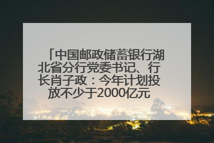 中国邮政储蓄银行湖北省分行党委书记、行长肖子政：今年计划投放不少于2000亿元支持支点建设