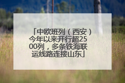 中欧班列（西安）今年以来开行超2500列，多条铁海联运线路连接山东