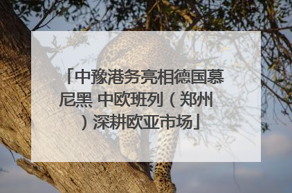 中豫港务亮相德国慕尼黑 中欧班列（郑州）深耕欧亚市场