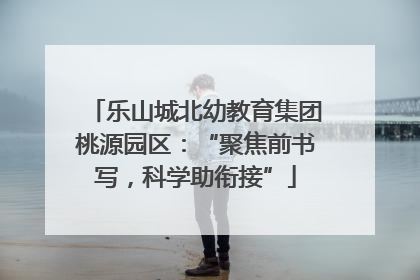 乐山城北幼教育集团桃源园区：“聚焦前书写，科学助衔接”