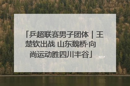 乒超联赛男子团体｜王楚钦出战 山东魏桥·向尚运动胜四川丰谷