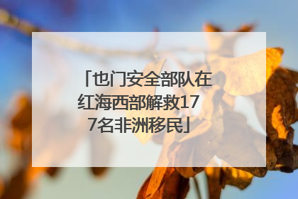 也门安全部队在红海西部解救177名非洲移民