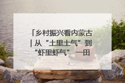 乡村振兴看内蒙古｜从“土里土气”到“虾里虾气” 一田双收模式火出圈