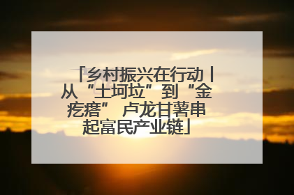 乡村振兴在行动丨从“土坷垃”到“金疙瘩” 卢龙甘薯串起富民产业链
