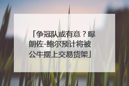 争冠队或有意？曝朗佐-鲍尔预计将被公牛摆上交易货架