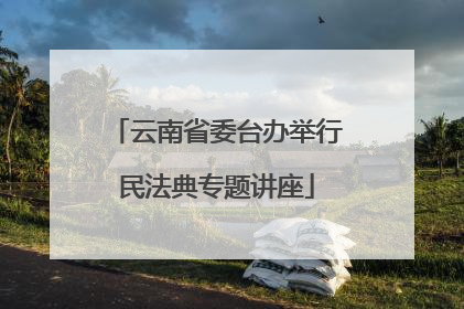 云南省委台办举行民法典专题讲座