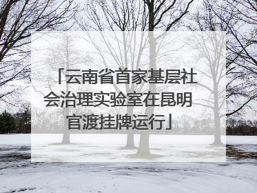 云南省首家基层社会治理实验室在昆明官渡挂牌运行