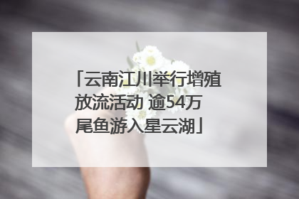 云南江川举行增殖放流活动 逾54万尾鱼游入星云湖