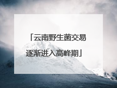 云南野生菌交易逐渐进入高峰期