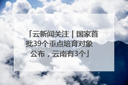 云新闻关注｜国家首批39个重点培育对象公布，云南有3个