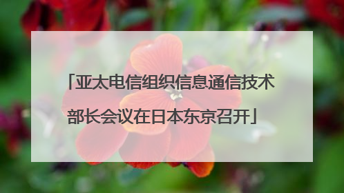 亚太电信组织信息通信技术部长会议在日本东京召开