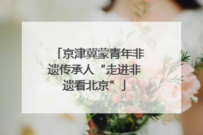京津冀蒙青年非遗传承人“走进非遗看北京”