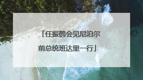 任振鹤会见尼泊尔前总统班达里一行