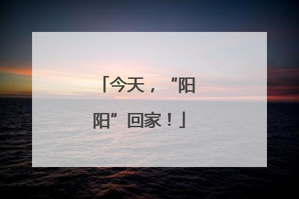 今天，“阳阳”回家！