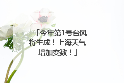今年第1号台风将生成！上海天气增加变数！