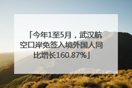 今年1至5月，武汉航空口岸免签入境外国人同比增长160.87%