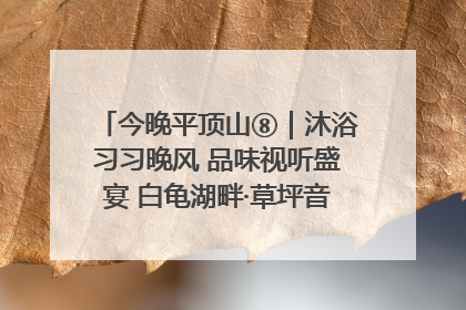 今晚平顶山⑧｜沐浴习习晚风 品味视听盛宴 白龟湖畔·草坪音乐会激情上演