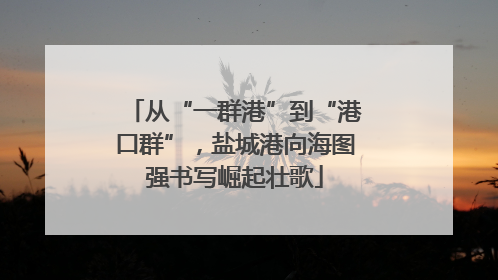 从“一群港”到“港口群”，盐城港向海图强书写崛起壮歌