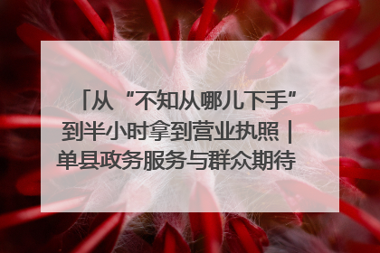从“不知从哪儿下手”到半小时拿到营业执照｜单县政务服务与群众期待的“双向奔赴”