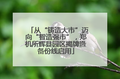 从“铸造大市”迈向“智造强市”，郑机所辉县园区揭牌暨备份线启用