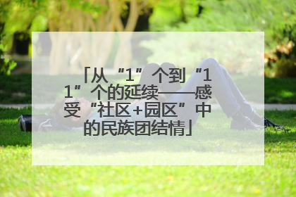从“1”个到“11”个的延续——感受“社区+园区”中的民族团结情
