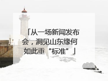 从一场新闻发布会，洞见山东缘何如此重“标准”