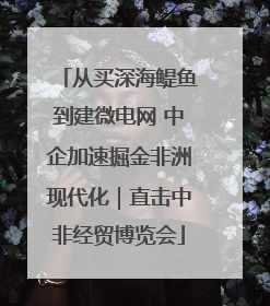 从买深海鳀鱼到建微电网 中企加速掘金非洲现代化｜直击中非经贸博览会