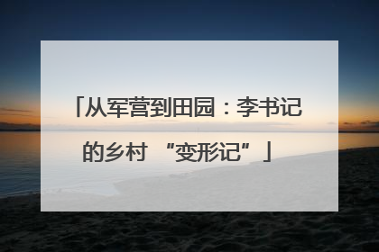 从军营到田园：李书记的乡村 “变形记”