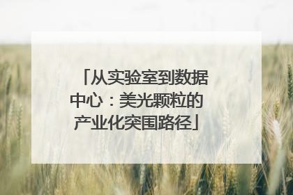 从实验室到数据中心：美光颗粒的产业化突围路径