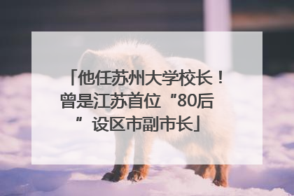 他任苏州大学校长！曾是江苏首位“80后”设区市副市长